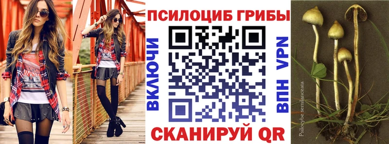 Галлюциногенные грибы Psilocybe  хочу наркоту  Тетюши 