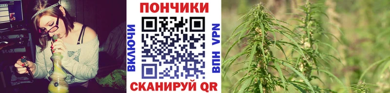 это наркотические препараты  Тетюши  Каннабис сатива 